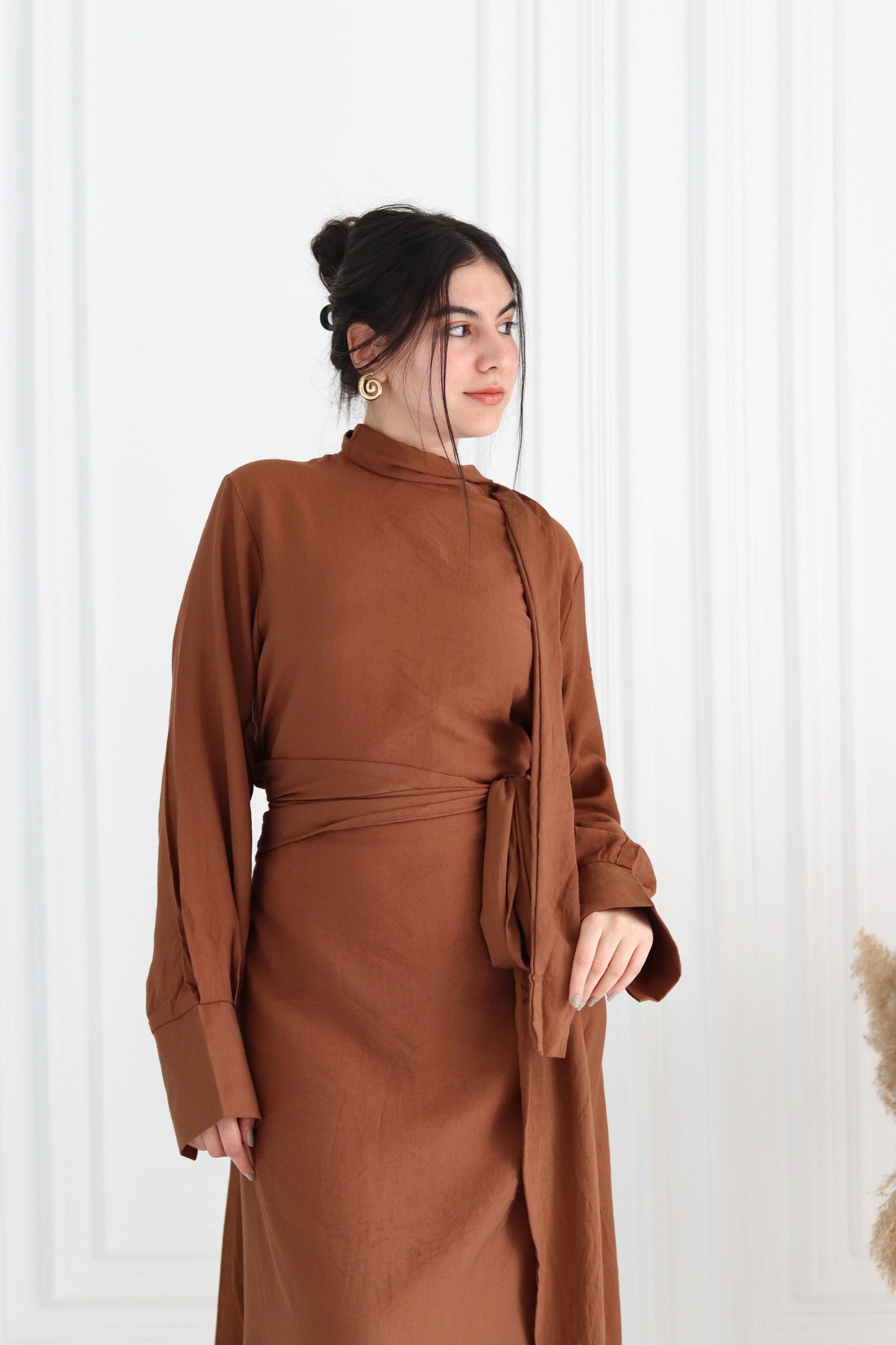 Belted Dress in Brown